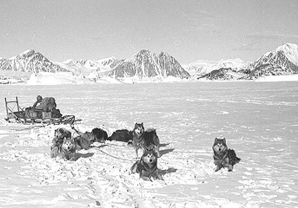 Ryder Polar Explorer