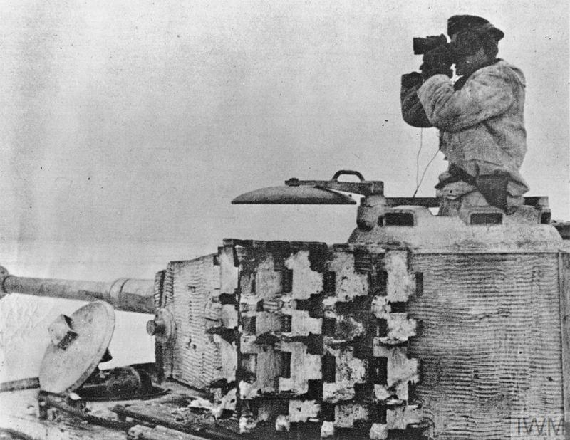 Tiger Commander in Russia