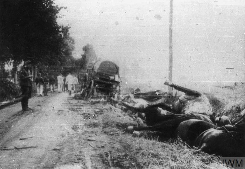 THE GERMAN-SOVIET INVASION OF POLAND, 1939